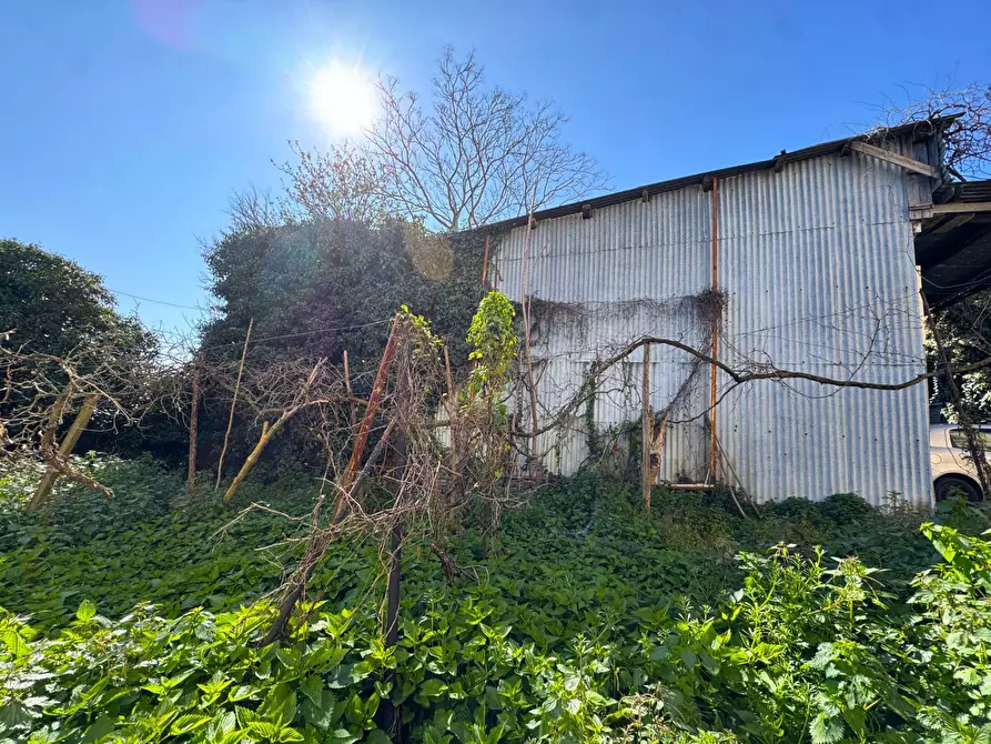 Immagine 7 di Casa indipendente in vendita  snc a Fermo