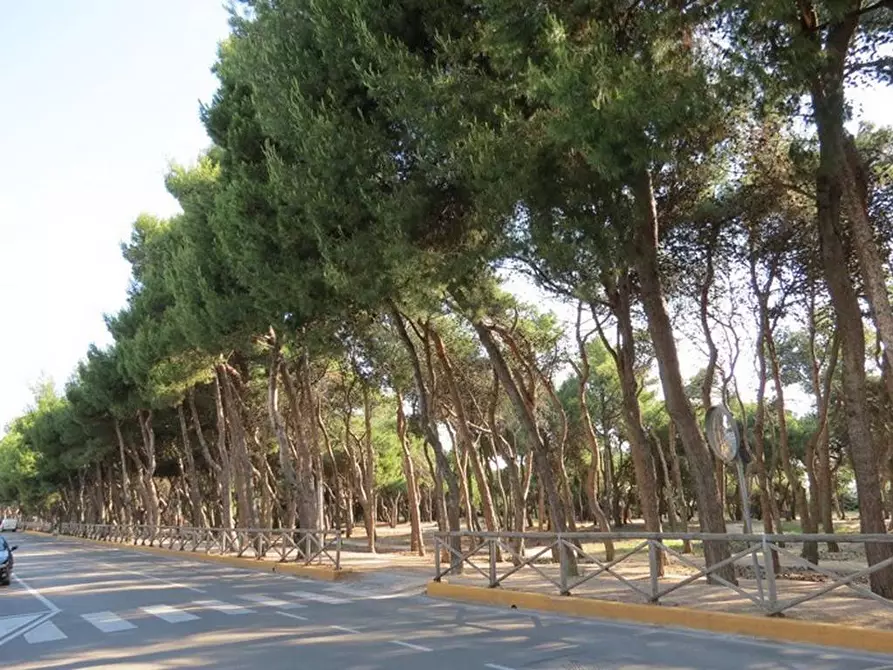 Immagine 11 di Appartamento in vendita  snc a Porto Sant'elpidio