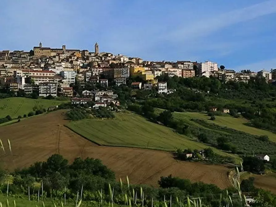 Immagine 2 di Terreno agricolo in vendita  snc a Montegranaro