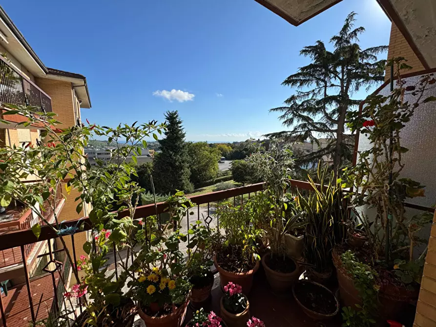 Immagine 18 di Appartamento in vendita  snc a Fermo