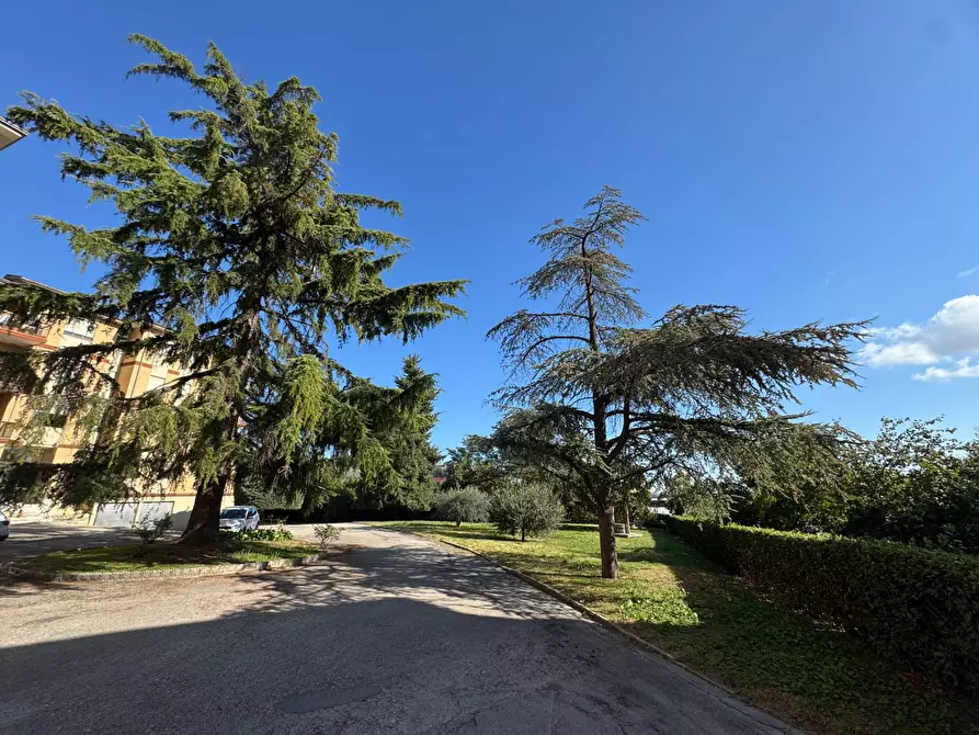 Immagine 19 di Appartamento in vendita  snc a Fermo