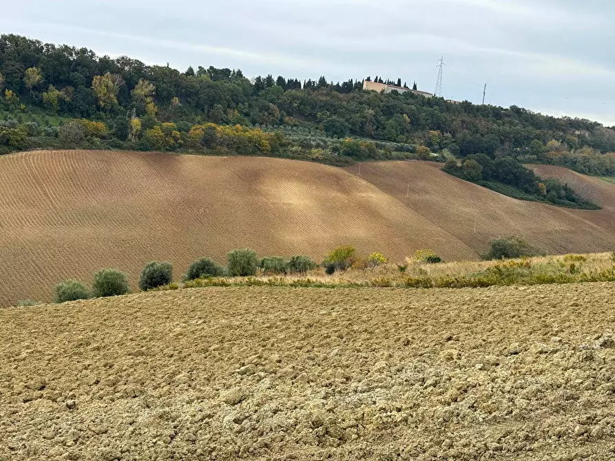 Immagine 3 di Terreno agricolo in vendita  in Contrada Cantagallo snc a Altidona