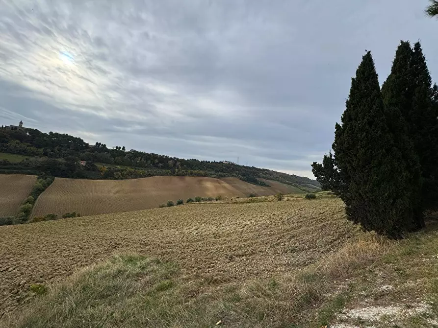 Immagine 4 di Terreno agricolo in vendita  in Contrada Cantagallo snc a Altidona