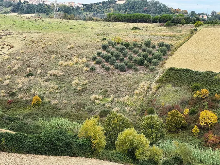 Immagine 2 di Terreno agricolo in vendita  in Contrada Cantagallo snc a Altidona