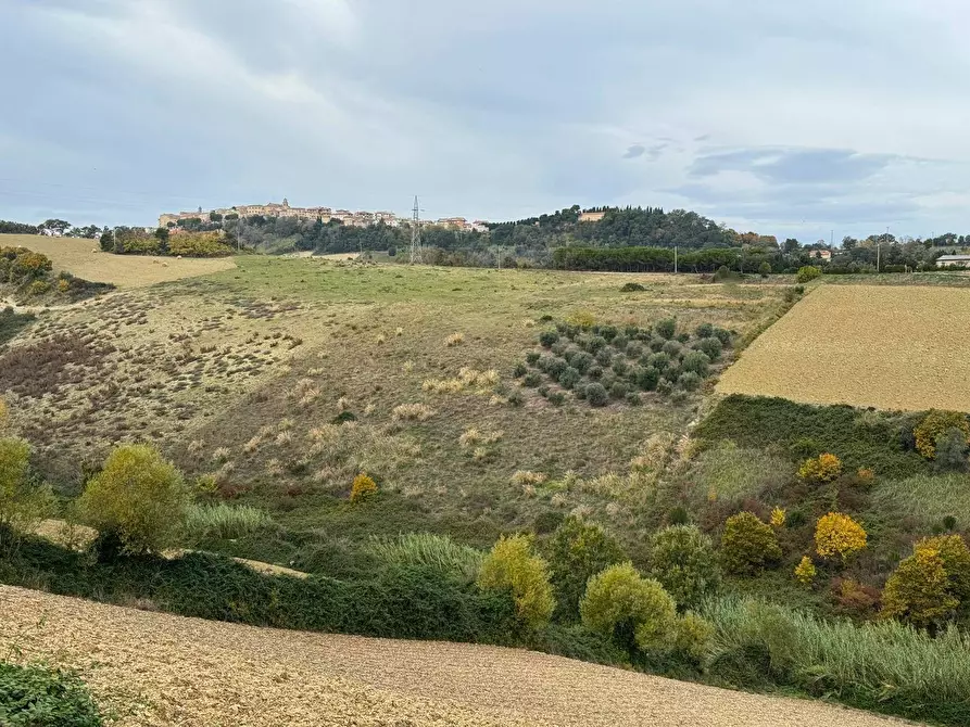 terreno agricolo in vendita ad Altidona