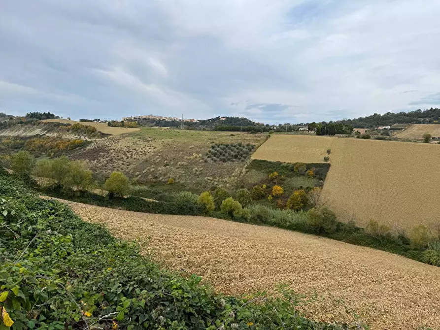Immagine 7 di Terreno agricolo in vendita  in Contrada Cantagallo snc a Altidona