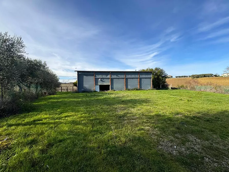 Immagine 1 di Terreno agricolo in vendita  snc a Fermo