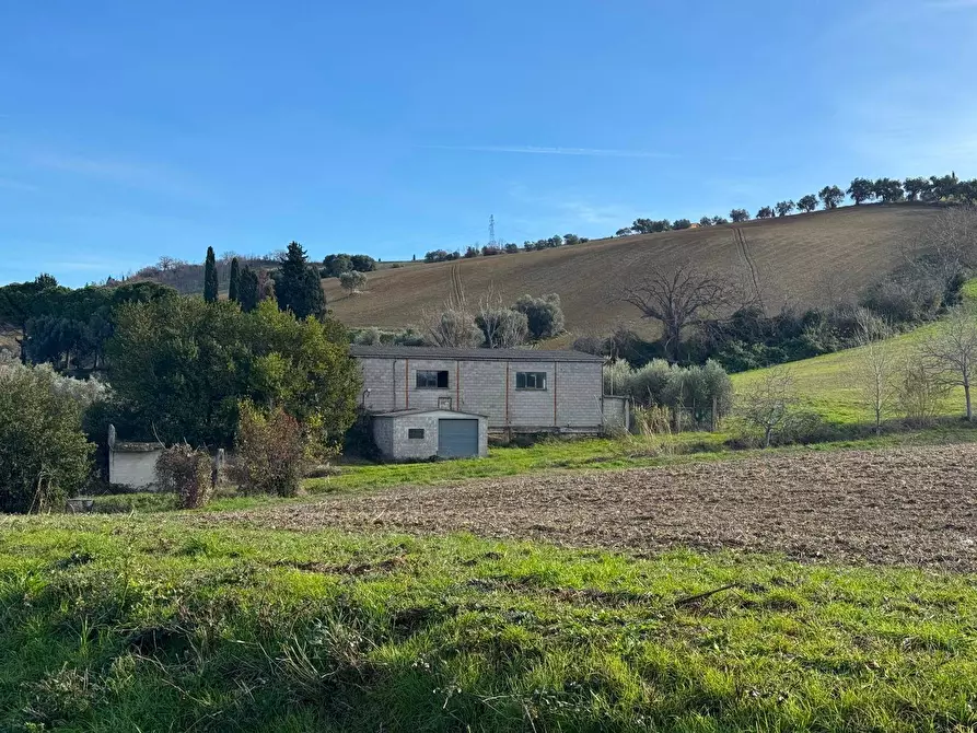 Immagine 2 di Terreno agricolo in vendita  snc a Fermo