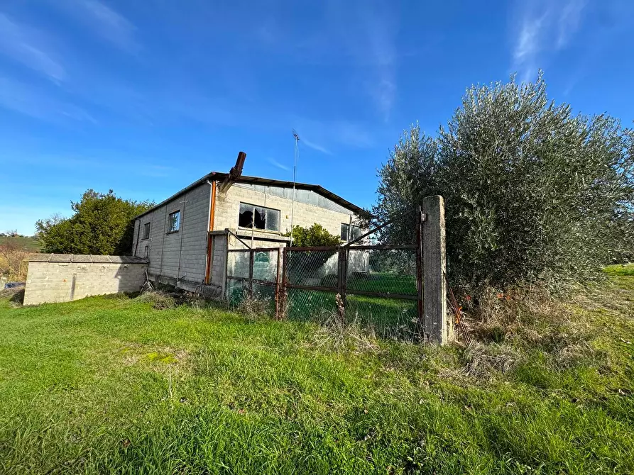 Immagine 3 di Terreno agricolo in vendita  snc a Fermo