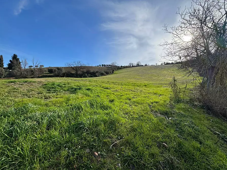 Immagine 4 di Terreno agricolo in vendita  snc a Fermo