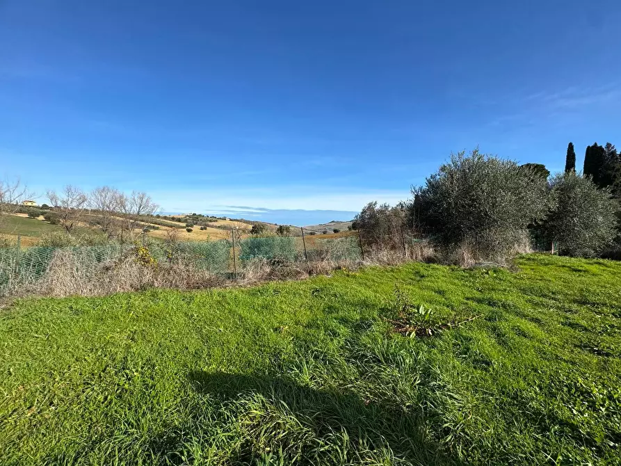 Immagine 5 di Terreno agricolo in vendita  snc a Fermo