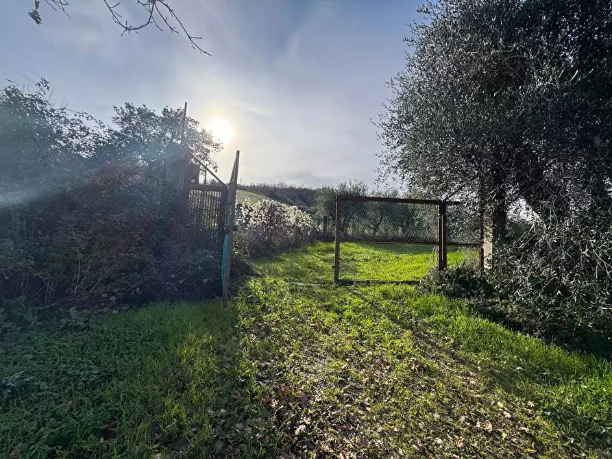 Immagine 8 di Terreno agricolo in vendita  snc a Fermo