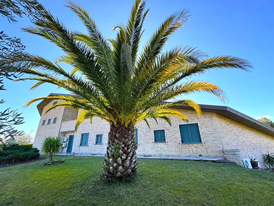 Immagine 3 di Villa in vendita  in via Luigi Einaudi a Grottazzolina