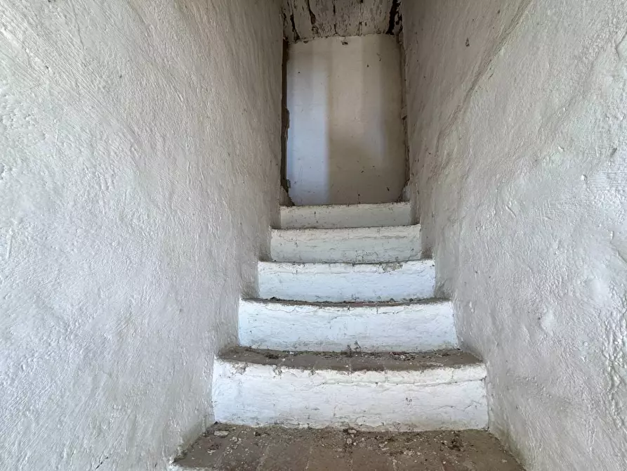 Immagine 4 di Rustico / casale in vendita  in Contrada San Marco snc a Ponzano Di Fermo