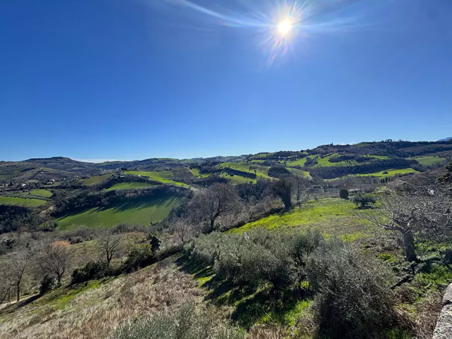 Immagine 2 di Rustico / casale in vendita  in Contrada San Marco snc a Ponzano Di Fermo