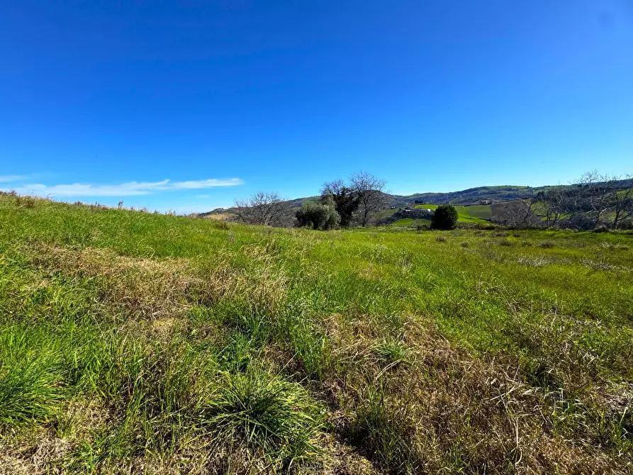 Immagine 10 di Rustico / casale in vendita  in Contrada San Marco snc a Ponzano Di Fermo
