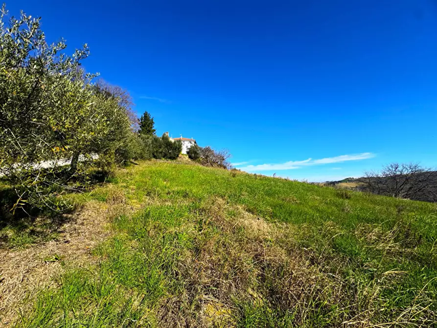 Immagine 11 di Rustico / casale in vendita  in Contrada San Marco snc a Ponzano Di Fermo