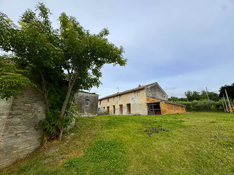 Immagine 1 di Rustico / casale in vendita  in via Chiaro a Torre San Patrizio