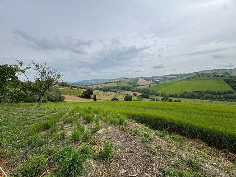 Immagine 7 di Rustico / casale in vendita  in via Chiaro a Torre San Patrizio