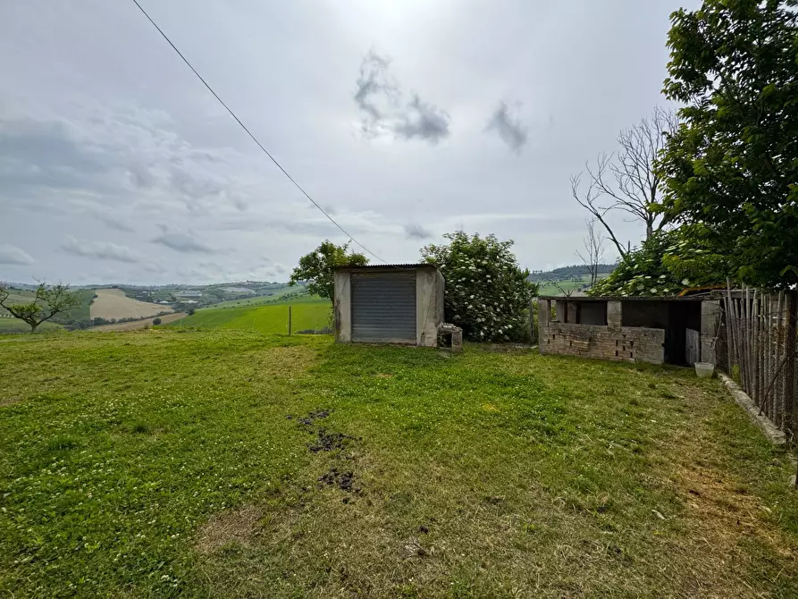 Immagine 4 di Rustico / casale in vendita  in via Chiaro a Torre San Patrizio