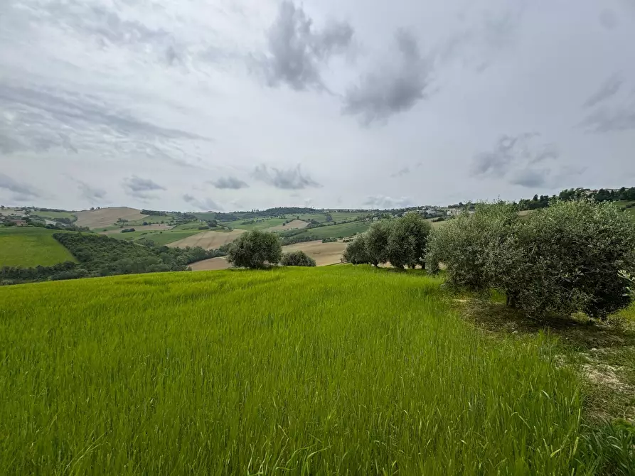 Immagine 19 di Rustico / casale in vendita  in via Chiaro a Torre San Patrizio