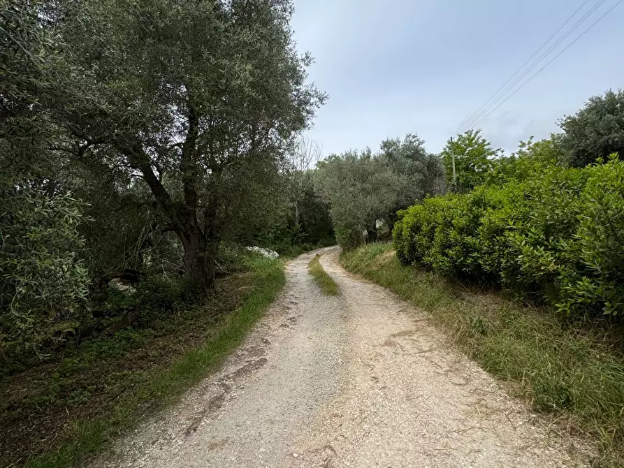 Immagine 18 di Rustico / casale in vendita  in via Chiaro a Torre San Patrizio