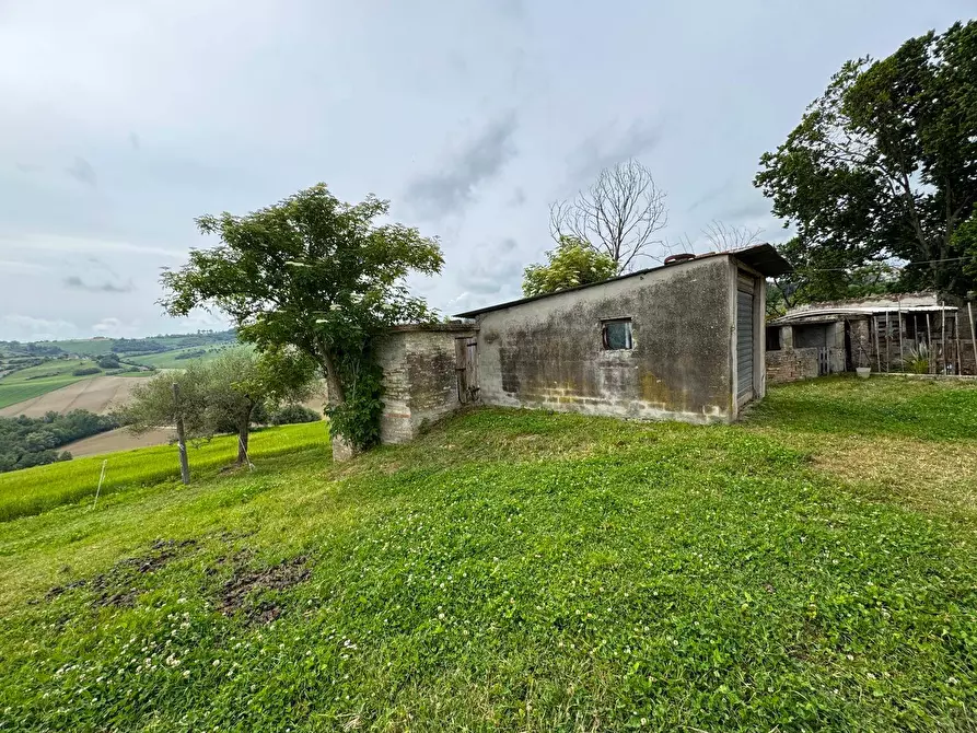 Immagine 5 di Rustico / casale in vendita  in via Chiaro a Torre San Patrizio