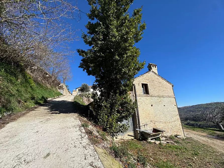 Immagine 3 di Rustico / casale in vendita  in Contrada San Marco snc a Ponzano Di Fermo
