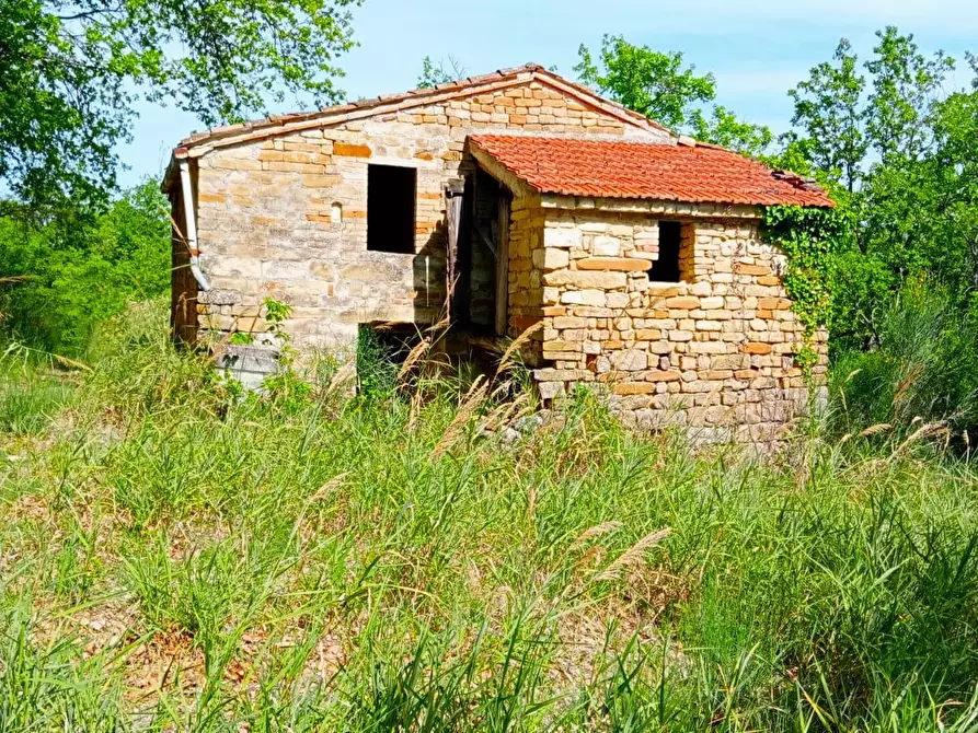 Immagine 3 di Rustico / casale in vendita  in Strada Pronviciale 103 snc a Montelparo