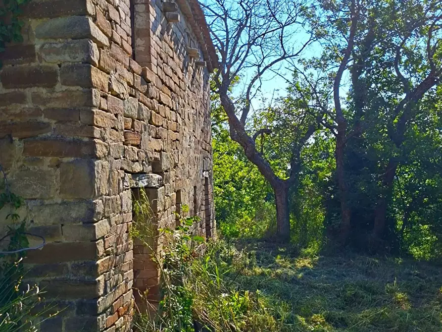 Immagine 4 di Rustico / casale in vendita  in Strada Pronviciale 103 snc a Montelparo