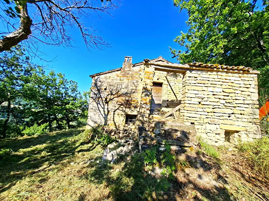 Immagine 2 di Rustico / casale in vendita  in Strada Pronviciale 103 snc a Montelparo