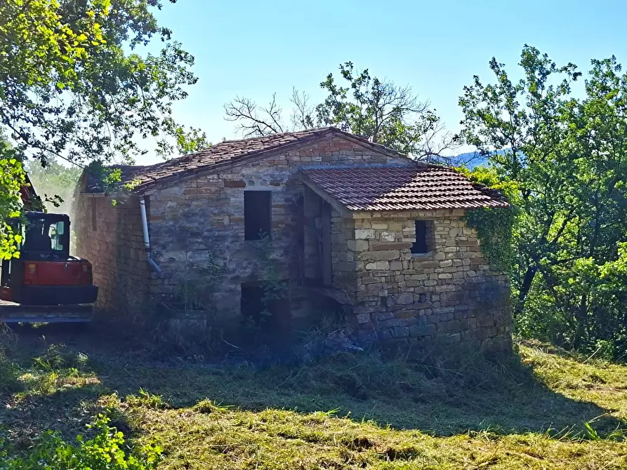 Immagine 5 di Rustico / casale in vendita  in Strada Pronviciale 103 snc a Montelparo