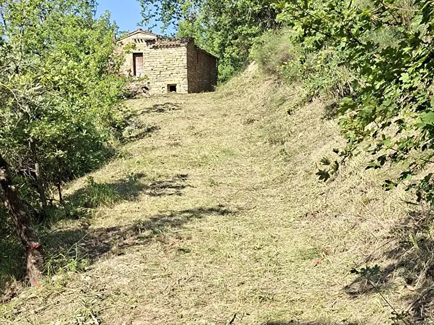 Immagine 12 di Rustico / casale in vendita  in Strada Pronviciale 103 snc a Montelparo