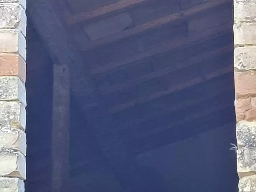 Immagine 10 di Rustico / casale in vendita  in Strada Pronviciale 103 snc a Montelparo