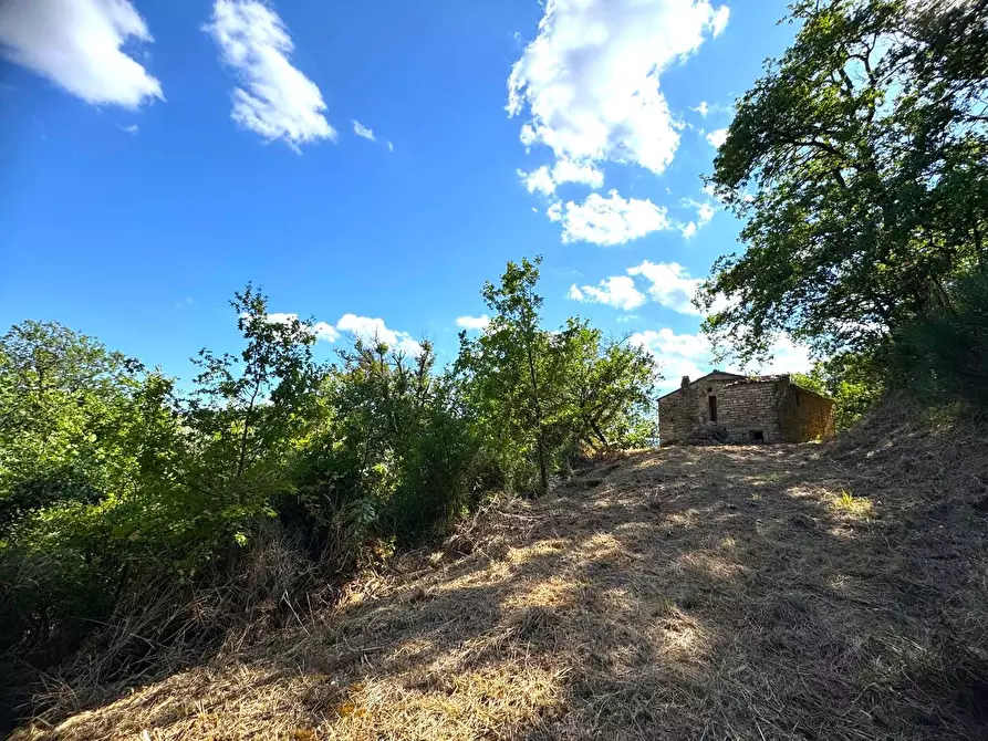 Immagine 13 di Rustico / casale in vendita  in Strada Pronviciale 103 snc a Montelparo