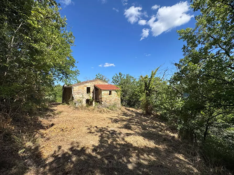 Immagine 1 di Rustico / casale in vendita  in Strada Pronviciale 103 snc a Montelparo