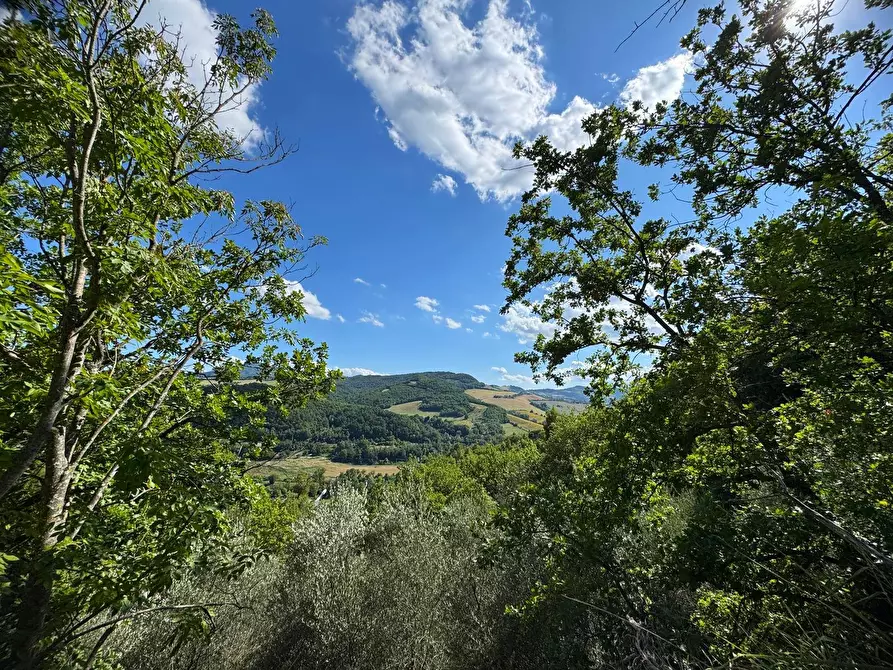 Immagine 12 di Rustico / casale in vendita  in Strada Pronviciale 103 snc a Montelparo