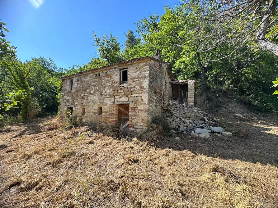 Immagine 2 di Rustico / casale in vendita  in Strada Pronviciale 103 snc a Montelparo