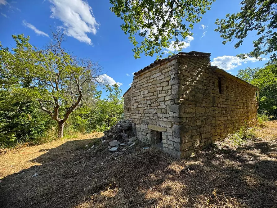 Immagine 4 di Rustico / casale in vendita  in Strada Pronviciale 103 snc a Montelparo