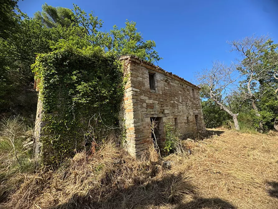 Immagine 3 di Rustico / casale in vendita  in Strada Pronviciale 103 snc a Montelparo