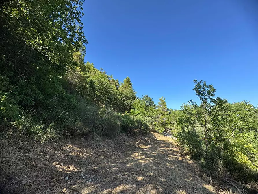 Immagine 14 di Rustico / casale in vendita  in Strada Pronviciale 103 snc a Montelparo