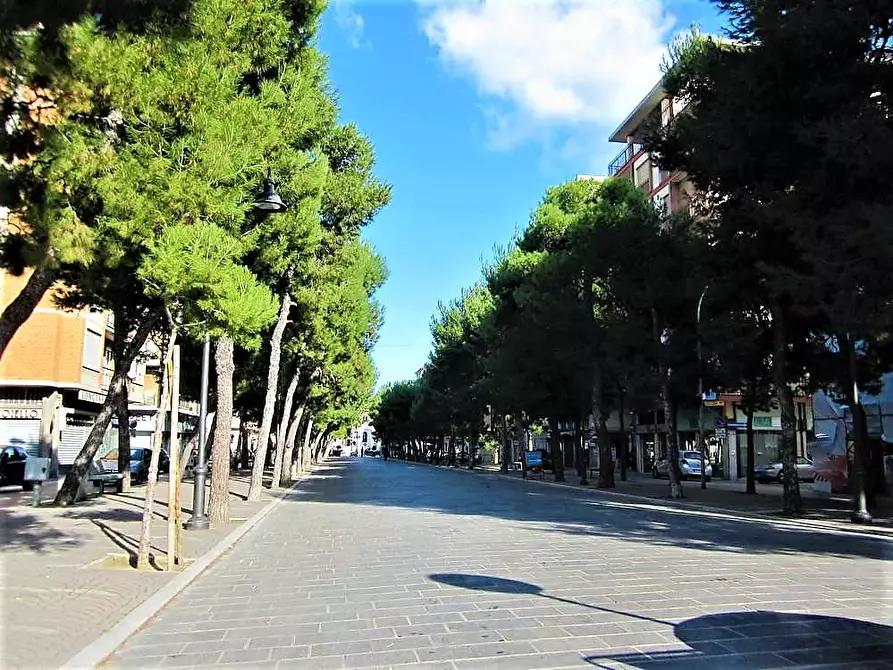 Immagine 3 di Appartamento in vendita  in via Benedetto Cairoli snc a Porto San Giorgio