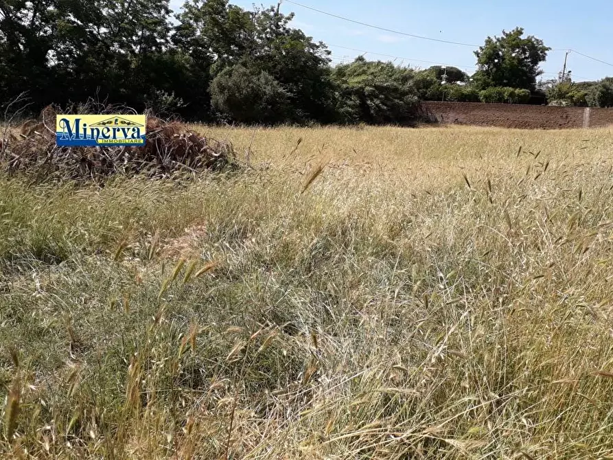 Immagine 1 di Terreno residenziale in vendita  in via di colle cocchino a Anzio