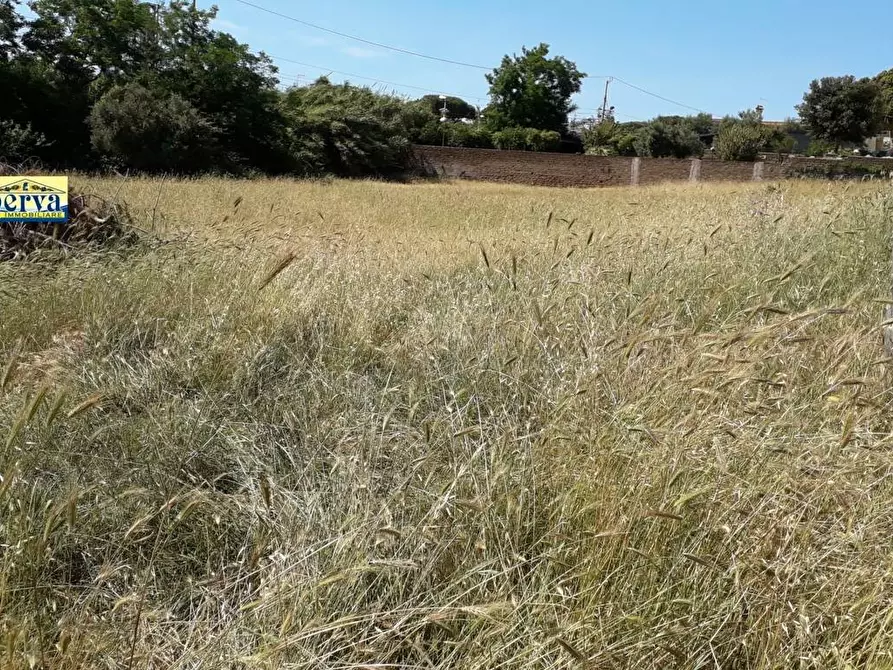 Immagine 2 di Terreno residenziale in vendita  in via di colle cocchino a Anzio