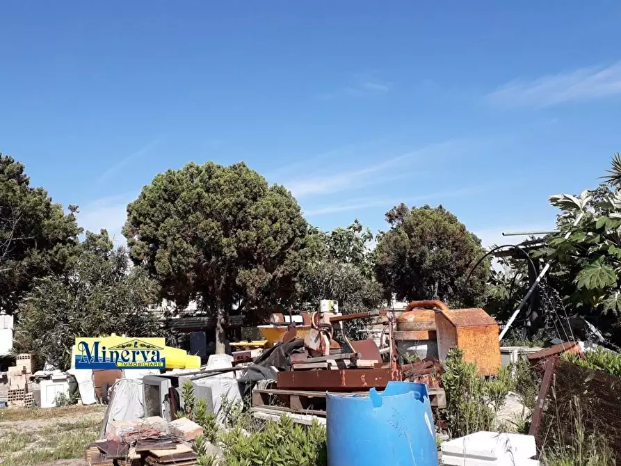 Immagine 3 di Terreno residenziale in vendita  in via di colle cocchino a Anzio