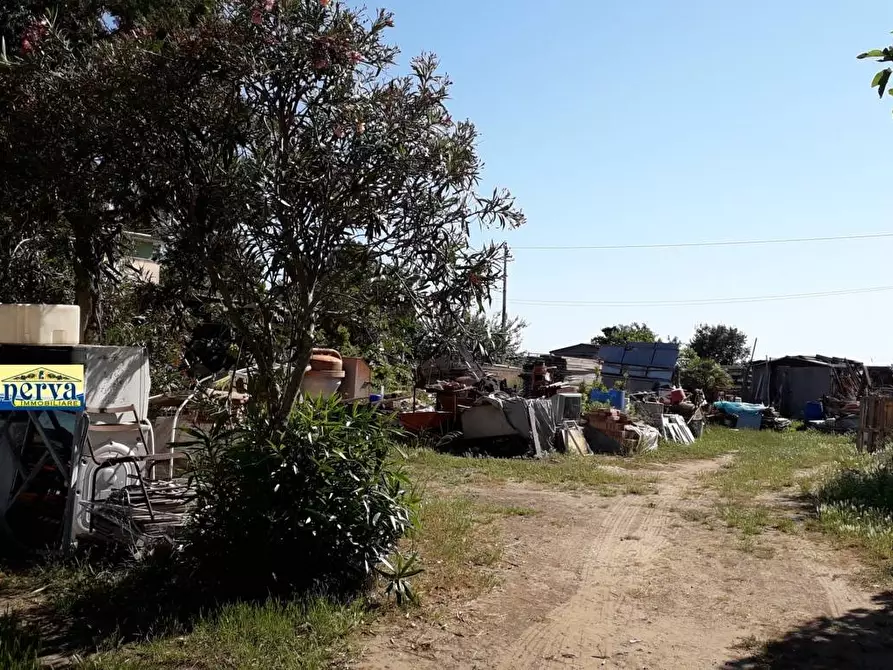 Immagine 7 di Terreno residenziale in vendita  in via di colle cocchino a Anzio