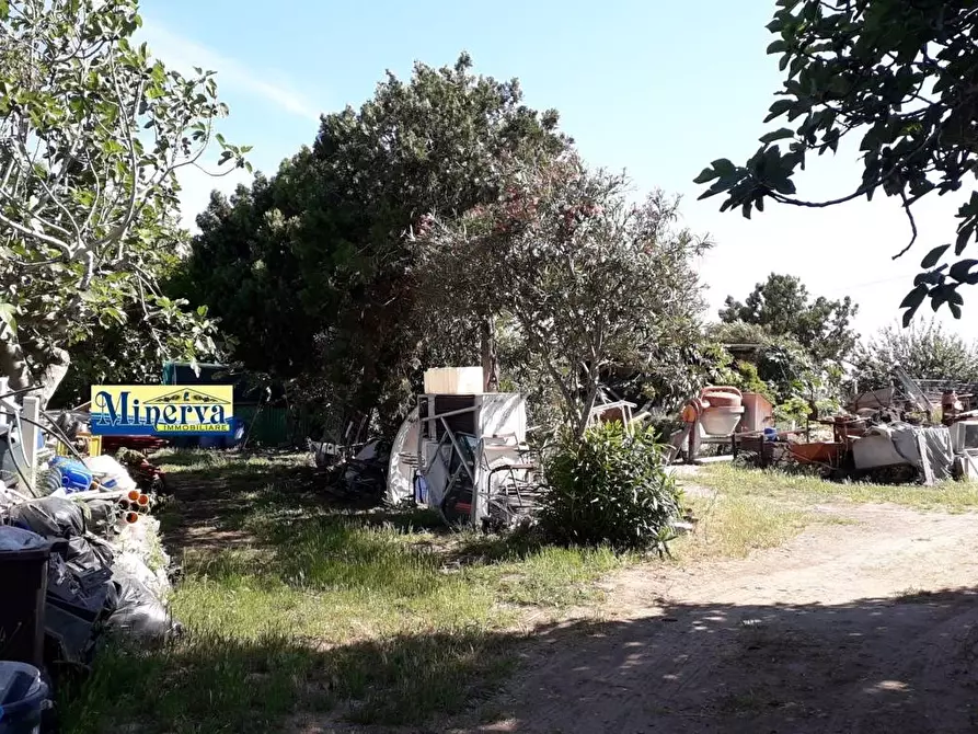 Immagine 8 di Terreno residenziale in vendita  in via di colle cocchino a Anzio