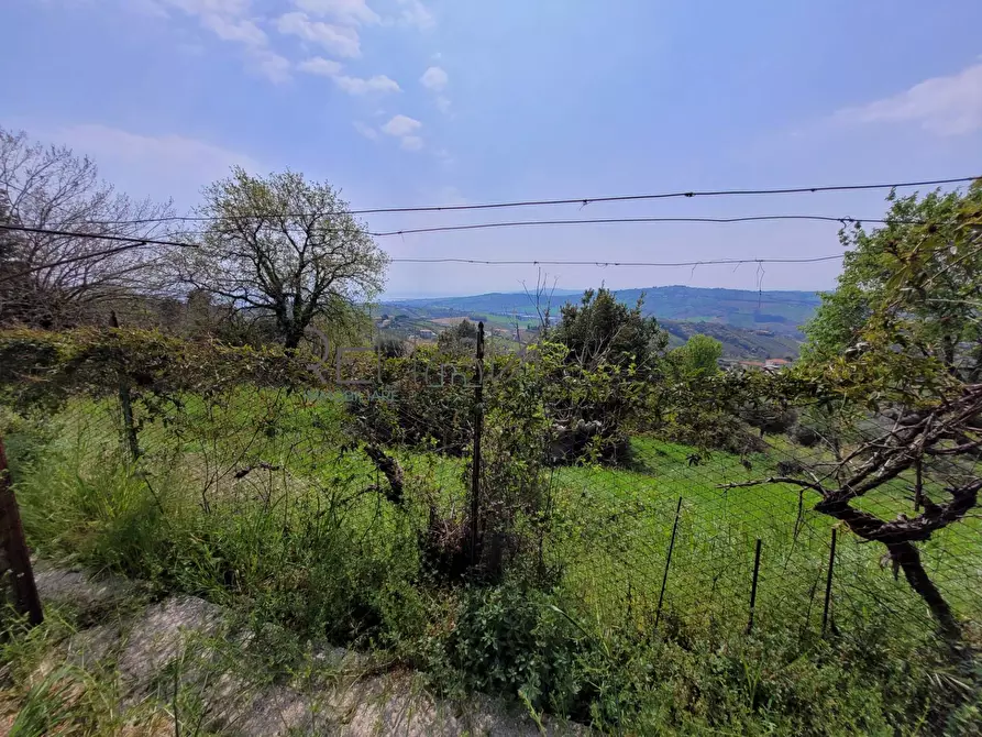 Immagine 8 di Casa indipendente in vendita  in Via Del Sole snc a Tortoreto