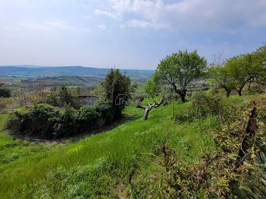 Immagine 10 di Casa indipendente in vendita  in Via Del Sole snc a Tortoreto