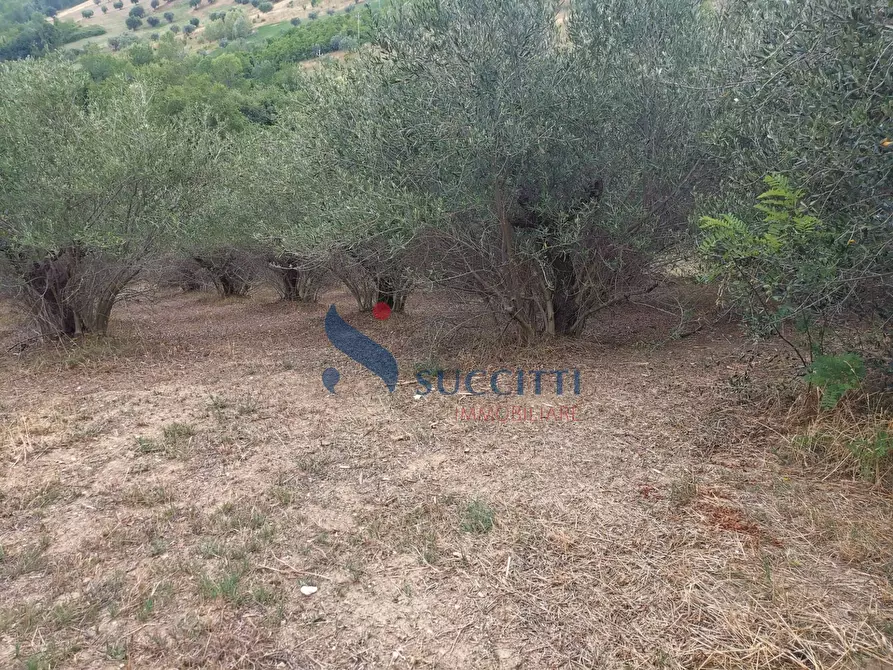 Immagine 29 di Casa indipendente in vendita  in Strada Provinciale 262 a Mosciano Sant'angelo